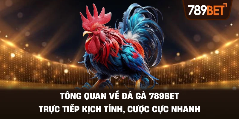 Tổng Quan Về Đá Gà 789BET – Trực Tiếp Kịch Tính, Cược Cực Nhanh